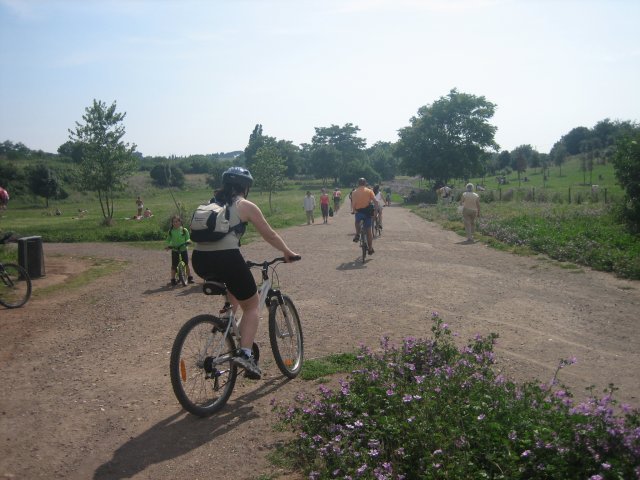 img20070612141007.JPG